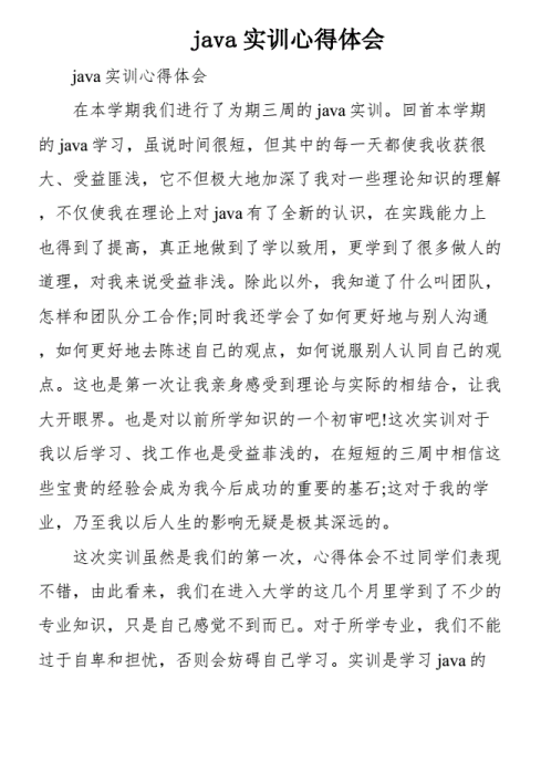 java实训心得体会  PDF 下载 图1