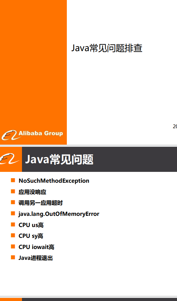 Java常见问题排查 PDF 下载  图1